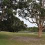 Centennial Park - Church Grounds