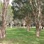 Centennial Park - Equestrian Grounds