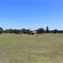 Centennial Park - Federation Valley