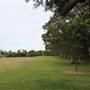 Centennial Park - Lachlan Swamp