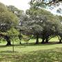 Centennial Park - Mount Steel