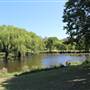 Centennial Park - Musgrave Pond