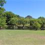 Centennial Park - Musgrave Pond