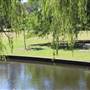 Centennial Park - Musgrave Pond