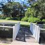 Centennial Park - Musgrave Pond