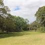 Centennial Park - Paperbark Grove