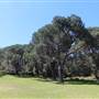 Centennial Park - Parade Grounds