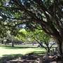 Centennial Park - Robertson Road