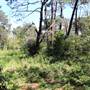 Centennial Park - Sandstone Ridge