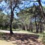 Centennial Park - Sandstone Ridge