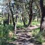Centennial Park - Sandstone Ridge