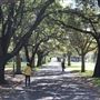 Centennial Park - Federation Way