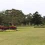 Centennial Park - Frog Hollow