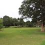 Centennial Park - Frog Hollow