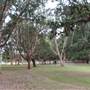 Learners Cycleway Playground - Centennial Park