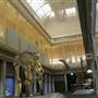 Australian Museum