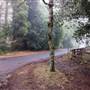 Mount Wilson Roads