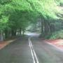 Mount Wilson Roads