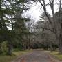 Hillview Heritage Hotel - Southern Highlands