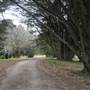 Hillview Heritage Hotel - Southern Highlands