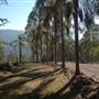 Charity Creek Green Acres