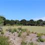 North Head Sanctuary - Old School Of Artillery