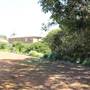 North Head Sanctuary - Old School Of Artillery