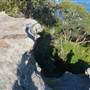 Middle Head Fortifications