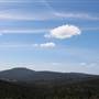 Jenolan State Forest - Logged Area