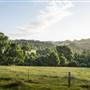 Southern Highlands