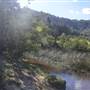 Moosewood, Kangaroo Valley