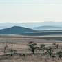 Monaro Plains