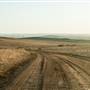 Monaro Plains