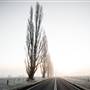 Monaro - Winter Frost