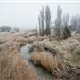 Monaro - Winter Frost