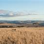 Boco Rock Wind Farm