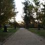 Wagga Wagga Town Centre