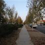 Wagga Wagga Town Centre