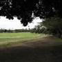 Centennial Park