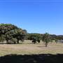 Centennial Park - Loch Ave South