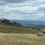 Monaro Plains