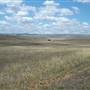 Monaro Plains