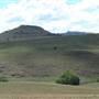 Monaro Plains