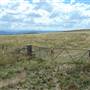 Monaro Plains