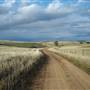 Monaro Plains