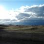 Monaro Plains