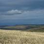 Monaro Plains