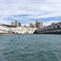 Walsh Bay - Sydney Harbour from the water