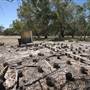 Bindara Station on the Darling - Period Homestead & Outbuildings