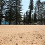 Collaroy Beach